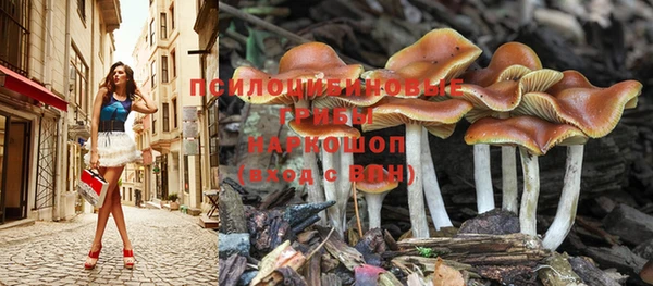 прущий лед Алзамай
