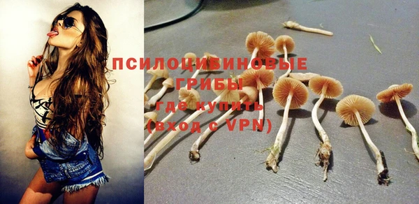 прущий лед Алзамай