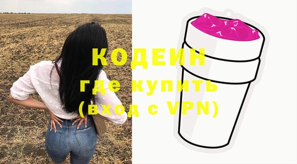прущий лед Алзамай