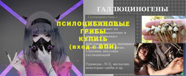 прущий лед Алзамай