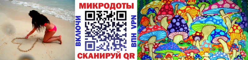 Купить закладки Плёс Псилоцибиновые грибы MAGIC MUSHROOMS